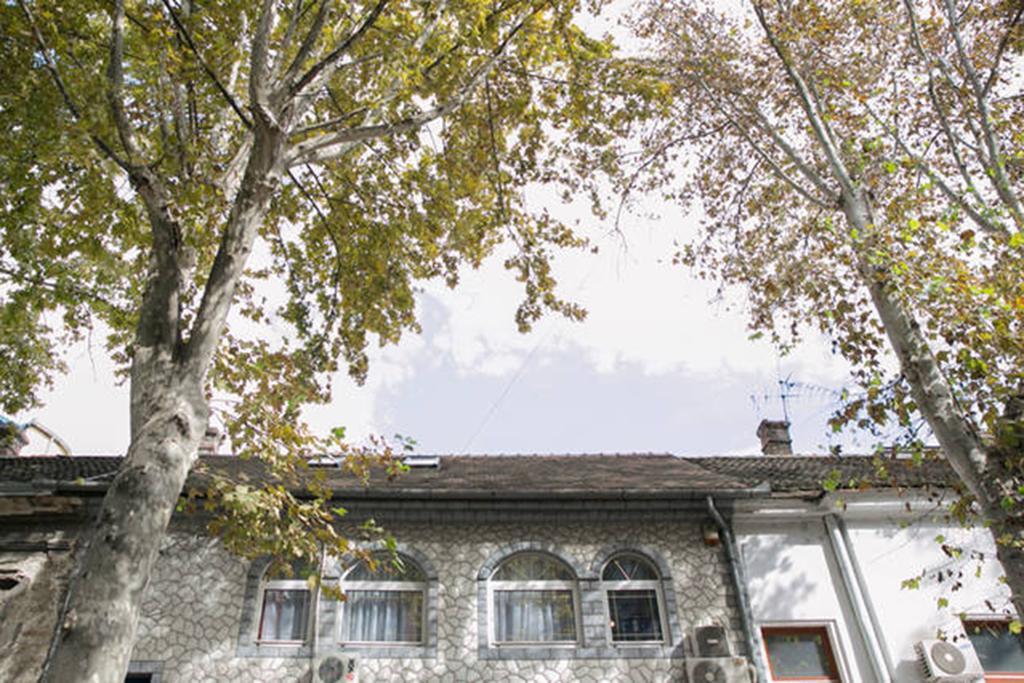 Kona Belgrade